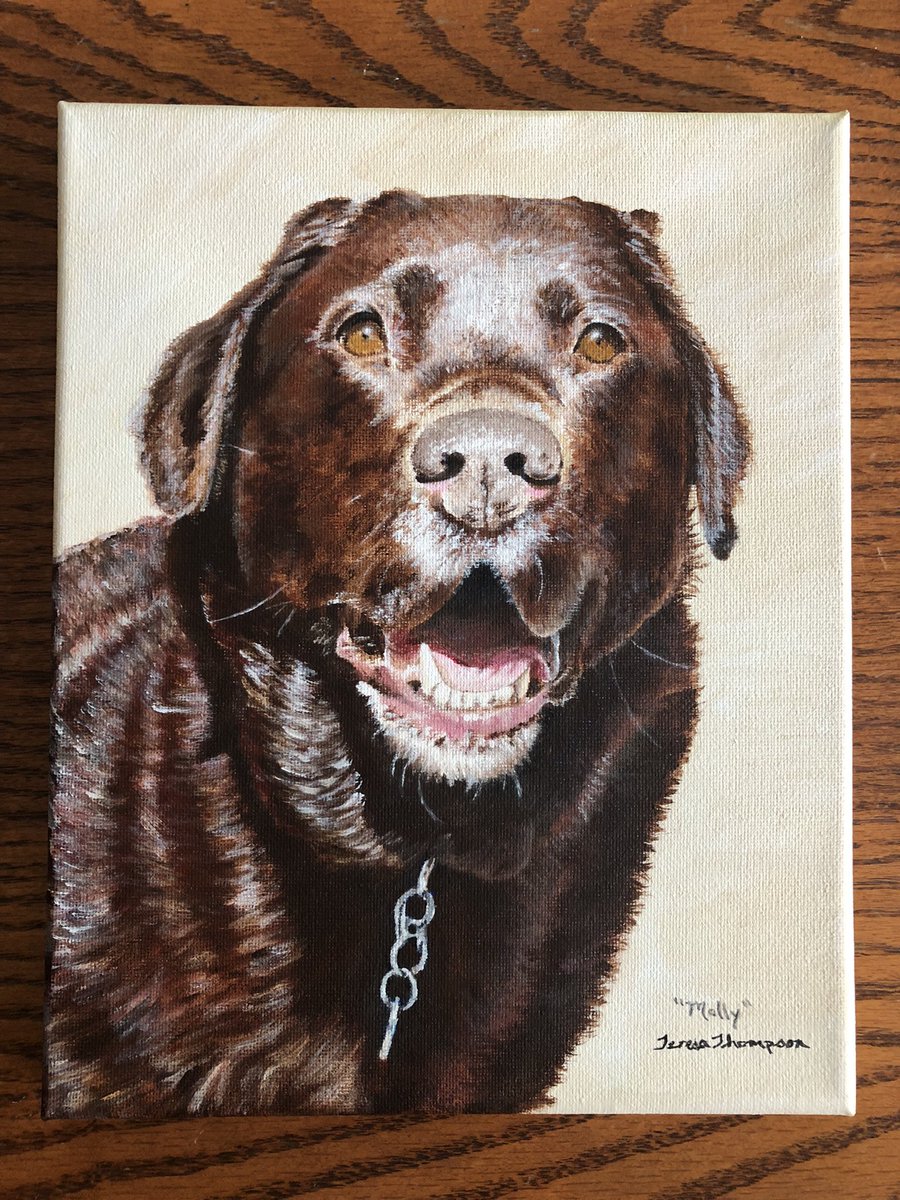 A memory portrait of Molly who is one of the beloved pets that were lost from the forest fires out East ☹️ I saw her photo in a post share on fb and just had to do something to help ease the owners pain. Losing a pet is a hard burden to process. I hope it helps somewhat 💝