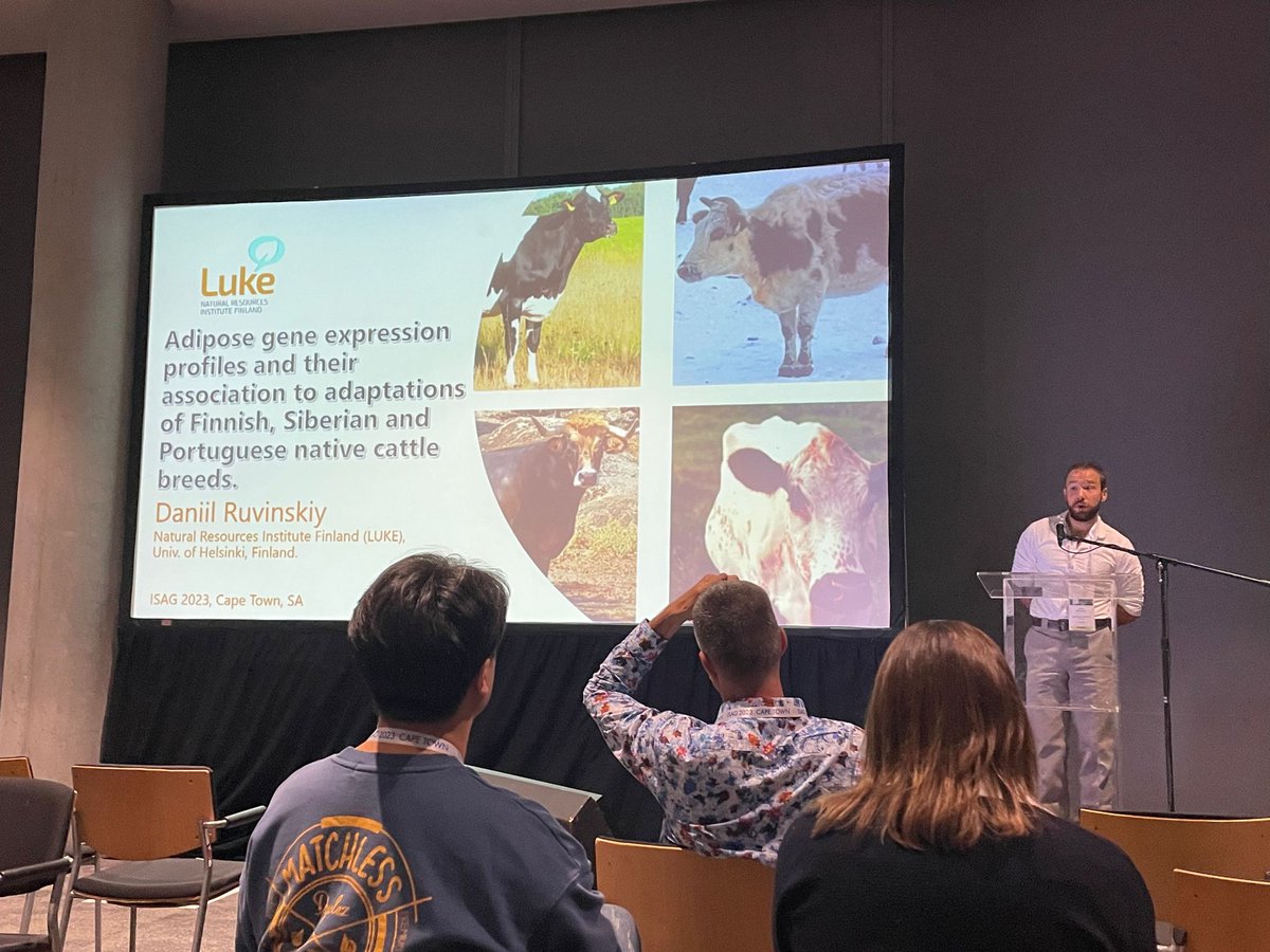 JuhaKantanen's tweet photo. ISAG2023,Cape Town, SA. Daniil's oral presentation today in the conference. Very well done! @LukeFinlandInt #genetic_resources @isag https://t.co/HoZ7t8C9v4
