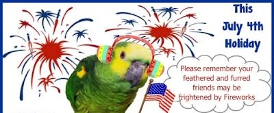 Please keep in mind our feather babies this 4th and please be very careful and precautionary when using fireworks. Happy Birthday America!! 🦜💖🐦
🎇🇺🇸🎆