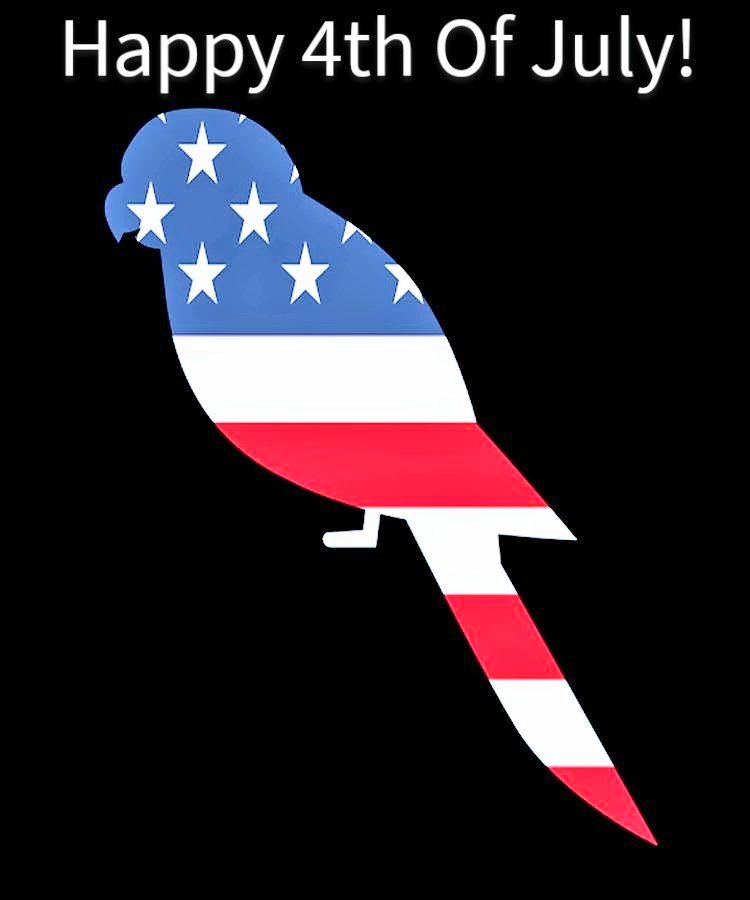 #GODBLESSAMERICA ❤️🤍💙