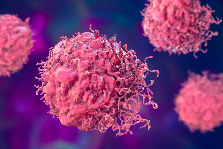 medflixs's tweet photo. #oncologie
Un pas de plus vers les vaccins néoantigéniques contre le cancer 
La suite sur Medflixs 👇 
https://t.co/wzRF4nk9sx https://t.co/2CrbSrmVNL