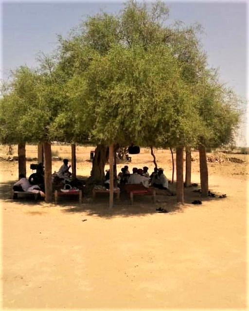Greenisamissio1's tweet photo. Night thoughts

Apart from the enormous contribution that trees make to the environment and humanity, one of the most beautiful thing is to be under a tree when the sun is burning.💚☘️🌱🌿🌳🌲🍀💚 https://t.co/hiYIpjDU4j