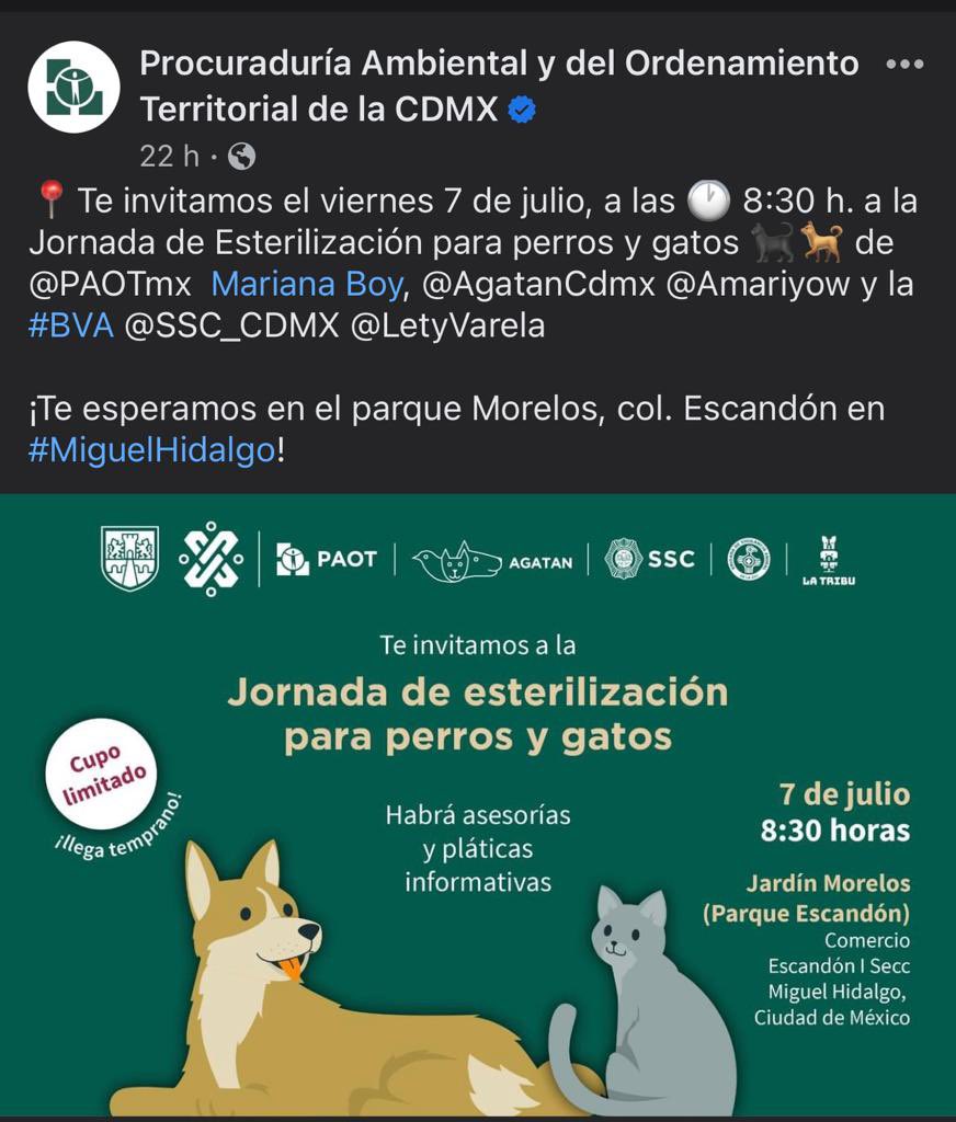 Kevastroso's tweet photo. 🐾 https://t.co/2MQ5vU82D0