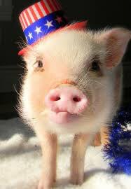 Happy Independence Day!