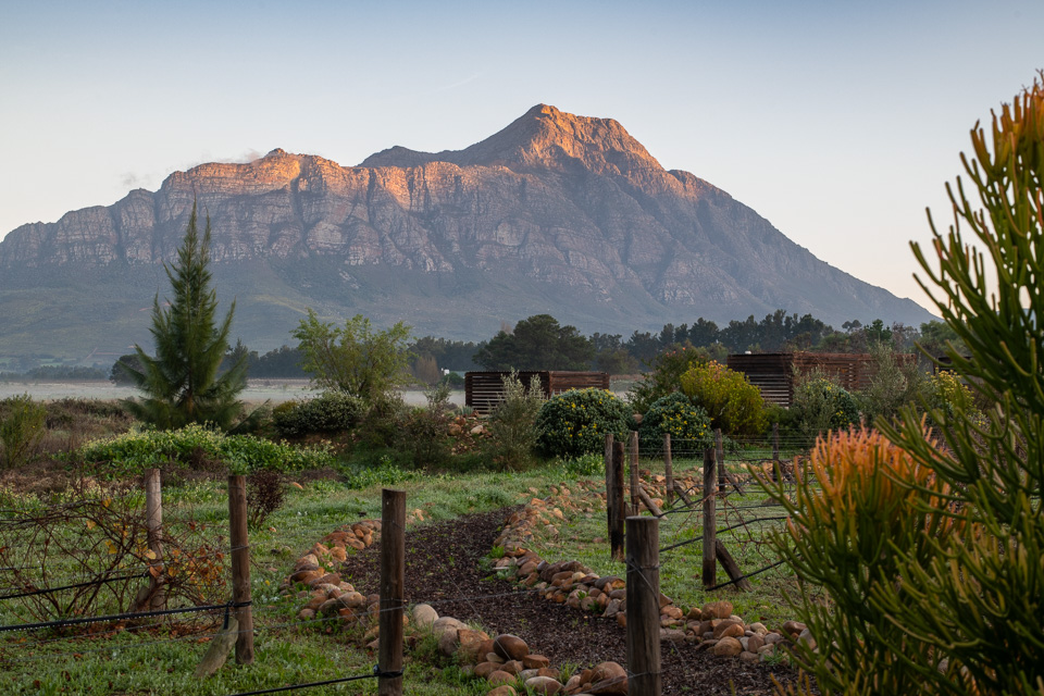 petalje's tweet image. Duikersdrift #Tulbagh. Great Place to stay and eat!