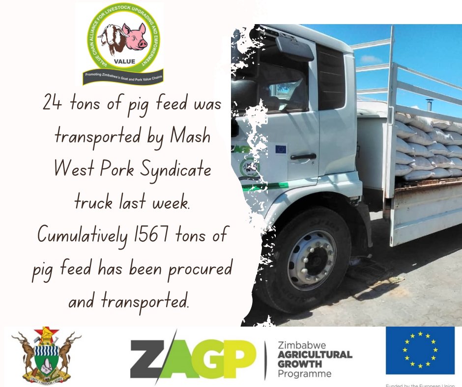 Thanks to the support of <a href="/euinzim/">EU Delegation to Zimbabwe 🇪🇺</a> we purchased 2 ten-tonne trucks for pig producer syndicates we set up. To date over 1500 tonnes have been procured and transported by the Mash West Syndicate.