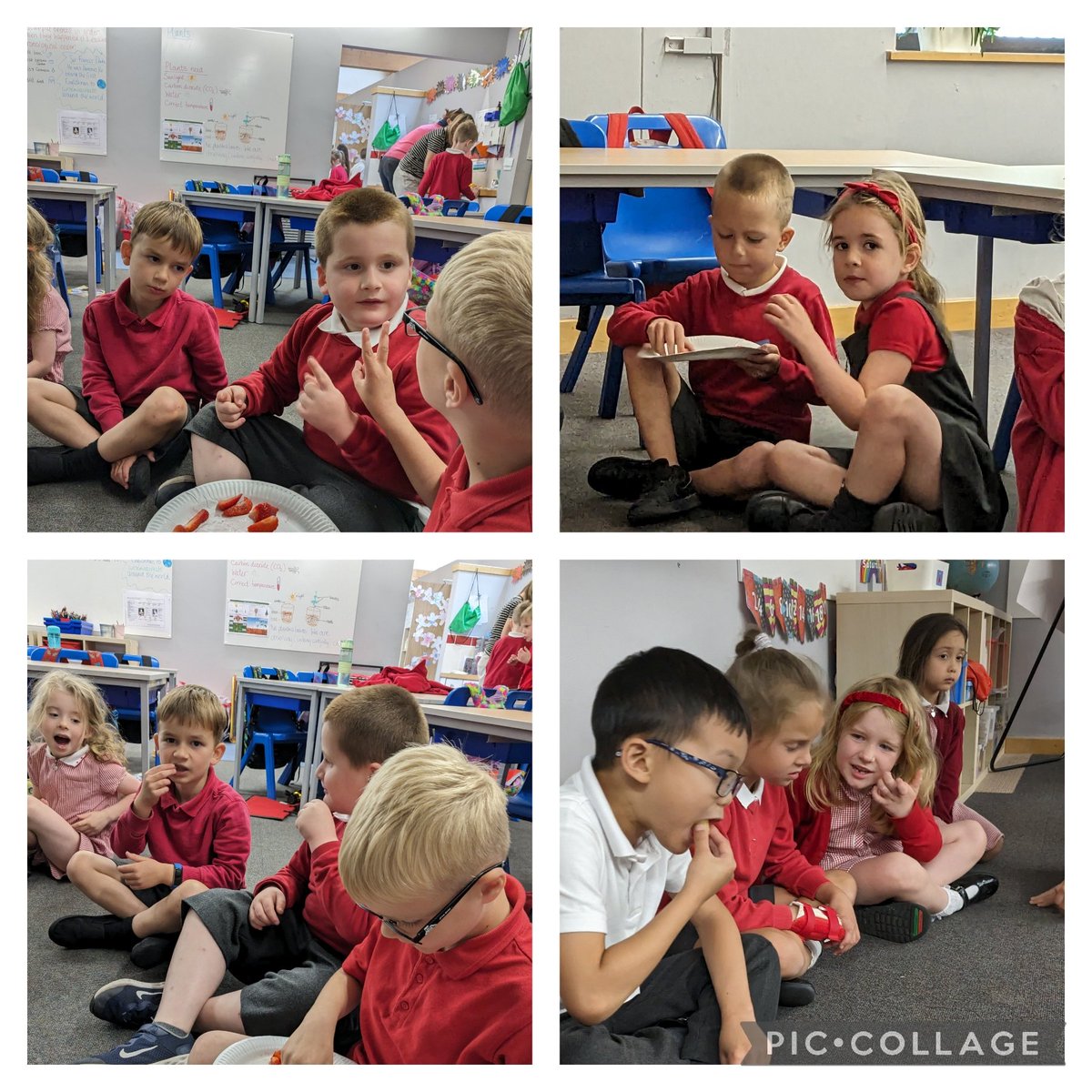 Stukeley Year Ones tweet media