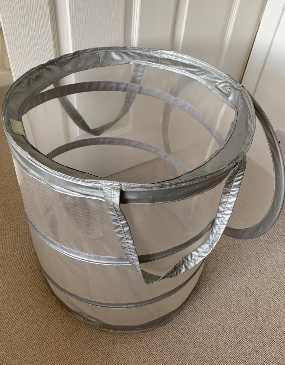 Georgia Harris tweet media