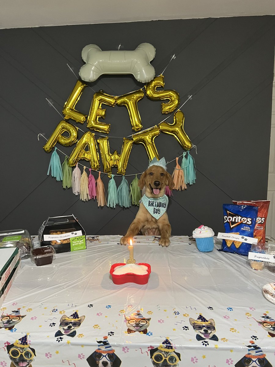 _ashleeeyx33's tweet photo. Happy 1st Birthday to my 4th of July baby boy! 🥳 I love you so much Comet 🩵 https://t.co/cyfIimwJxx