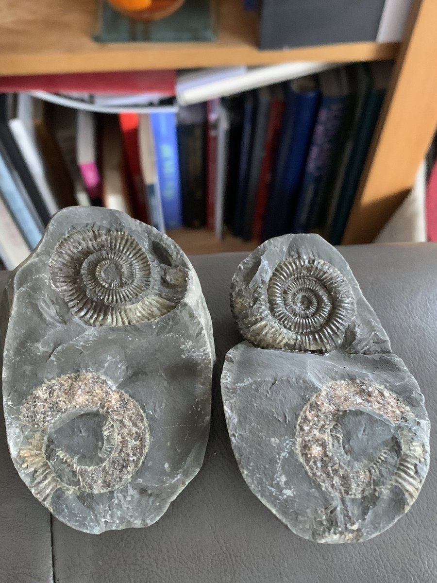 Matt Bailey tweet media