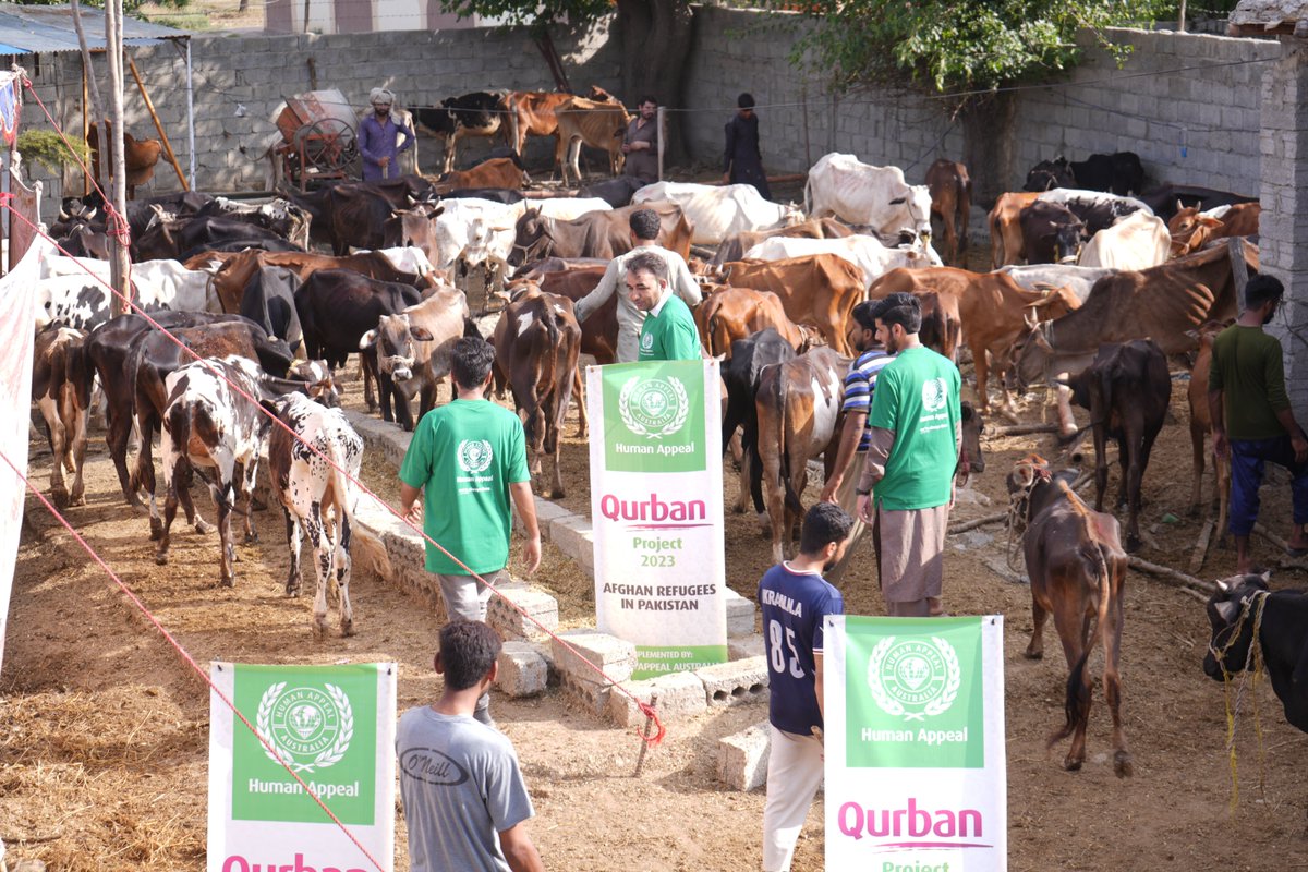HelpInNeed_PK's tweet photo. #HELPINNEED with the support of our generous donors, dedicated team and volunteers, we successfully completed the #Qurbani2023 in over 12 locations across Pakistan, bringing happiness to those in need. #SharingJoy #sharingblessings #HumanAppealAustralia
https://t.co/KFfNQIgJwV https://t.co/ujwjjVETt7