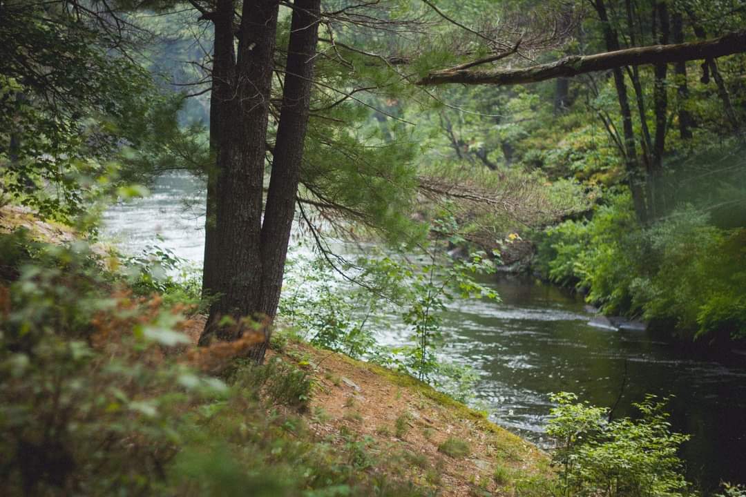 victwebb's tweet photo. 🏞🏞

Love a good walk by a river. ❤

 𝓙𝓾𝓼𝓽 𝓲𝓰𝓷𝓸𝓻𝓮 𝓽𝓱𝓮 𝓶𝓸𝓼𝓺𝓾𝓲𝓽𝓸𝓮𝓼 🦟 https://t.co/F7FSKQfOwm
