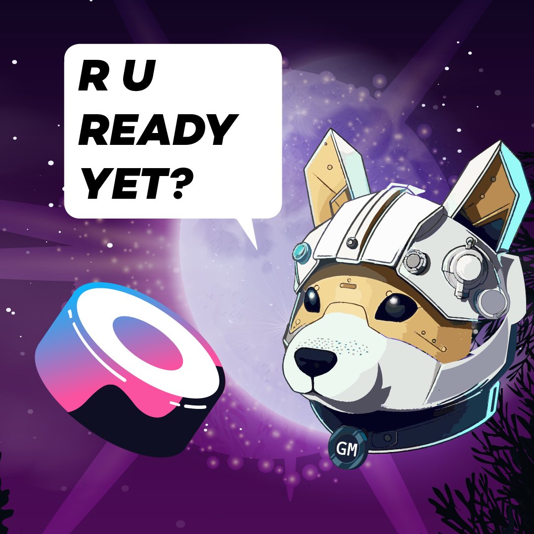 Robot Inu 🤖🐶💰❓ tweet media