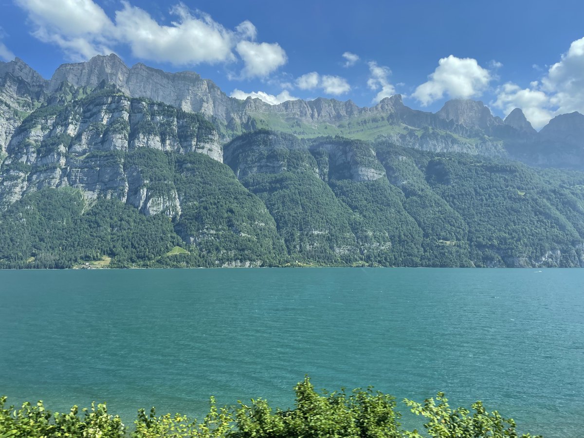 Liz Derstine tweet media