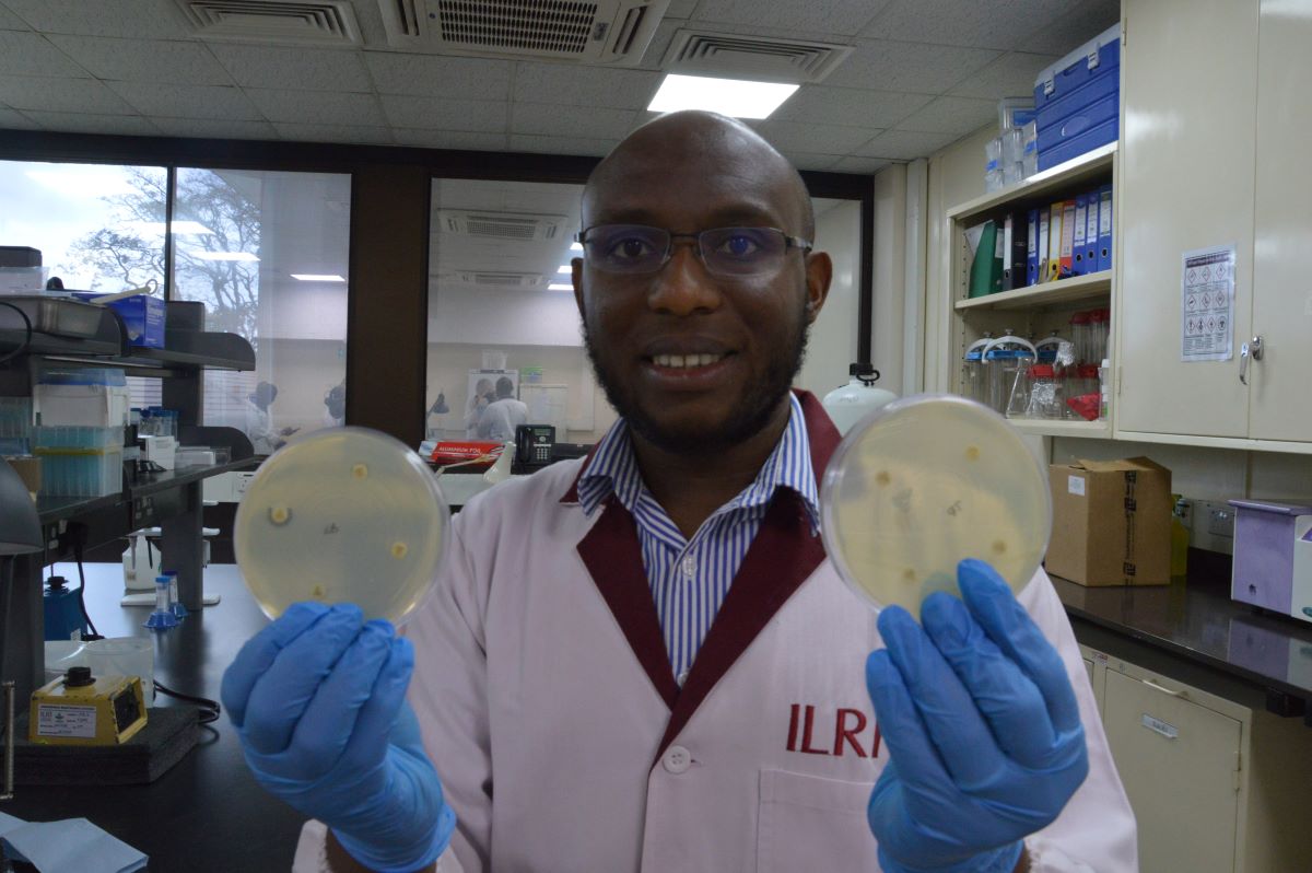 På <a href="/ILRI/">ILRI.org</a> -labbet i Nairobi visar forskaren <a href="/dishonmuloi/">Dishon Muloi</a> upp prover med resistenta bakterier. Antibiotika används inom djuruppfödning utan restriktioner och ofta i förebyggande syfte helt i onödan. <a href="/Sida/">Sida</a> forskningssamarbete motverkar #AMR