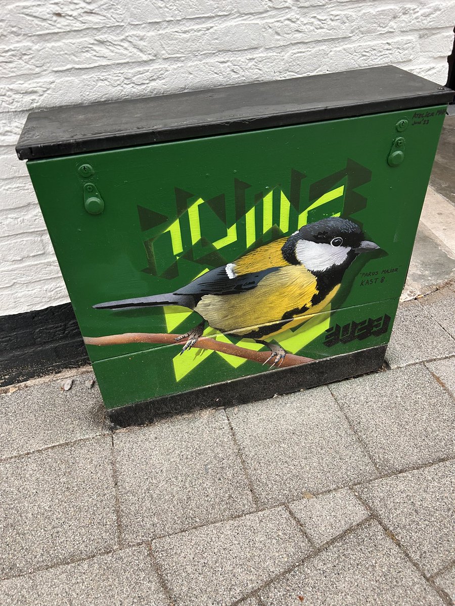 sterestherster's tweet photo. Wel gezellige trafo-huisjes.
#toeristineigenstad #040 https://t.co/WjZdRjR7S5