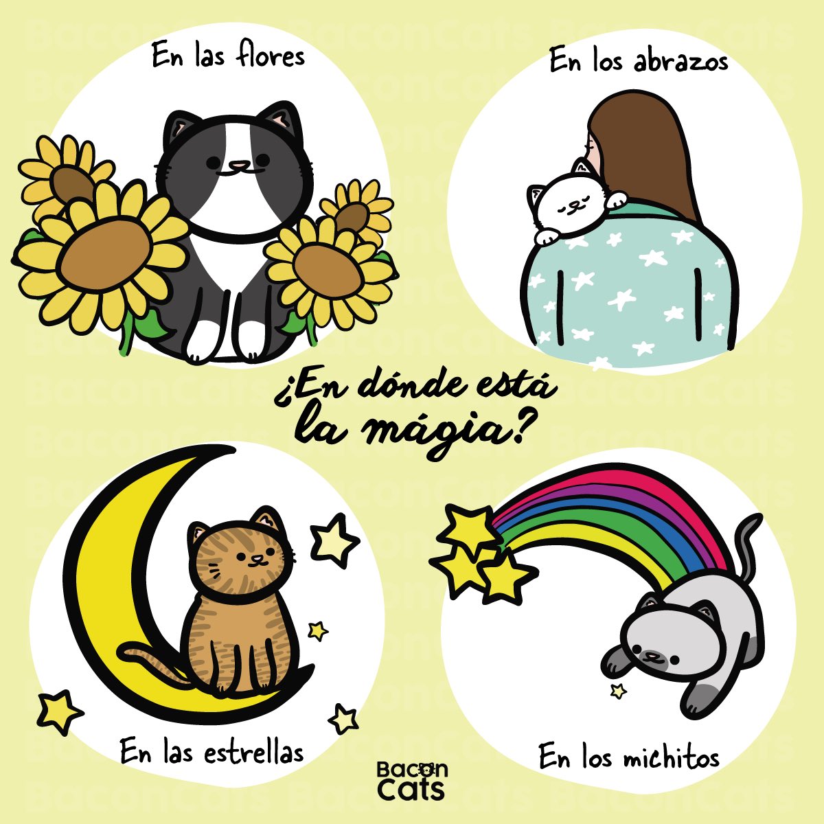 Baconcatsmx's tweet photo. La magia nos rodea 🐱✨ https://t.co/9I3jsskQa8