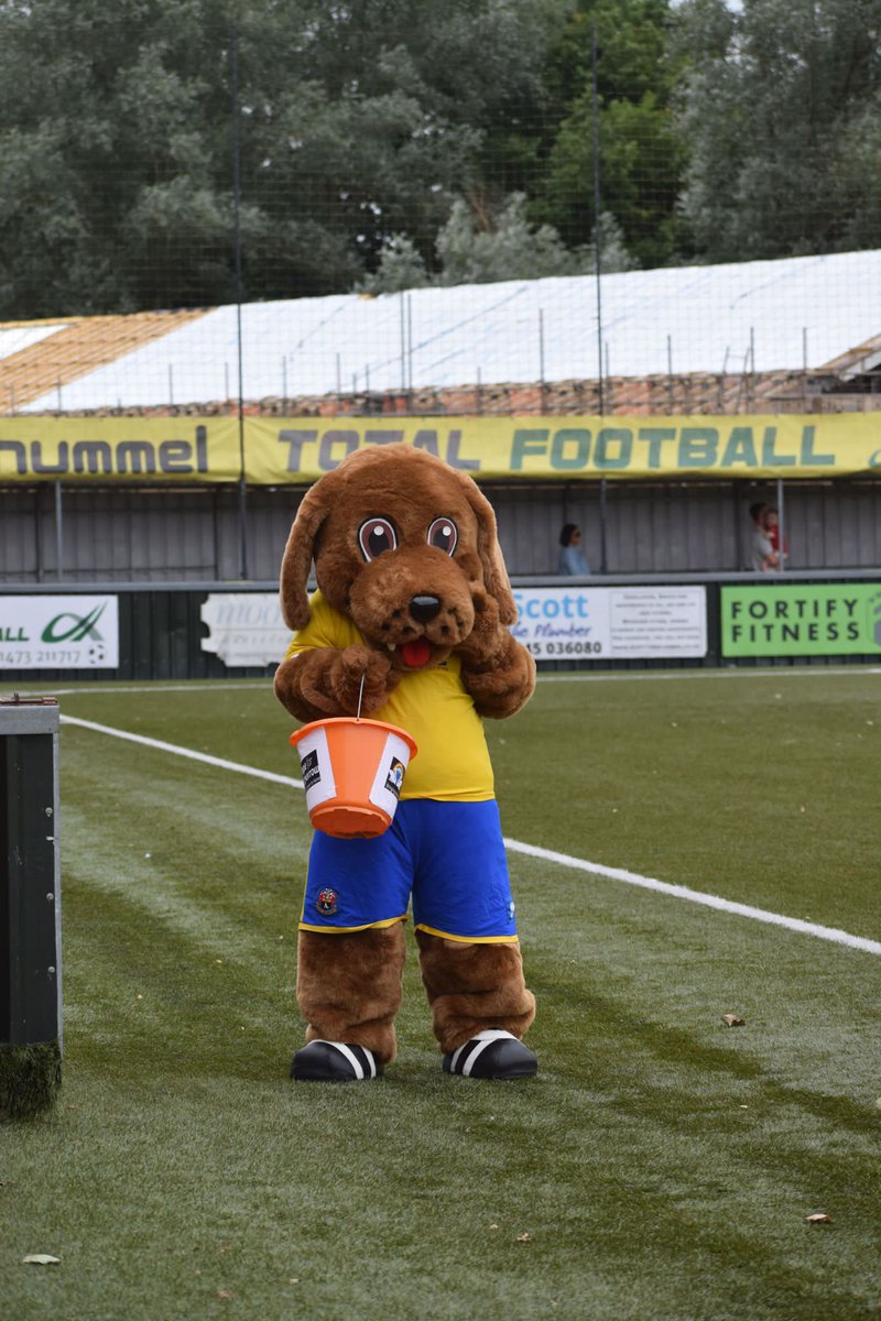 Ashley Webb tweet media