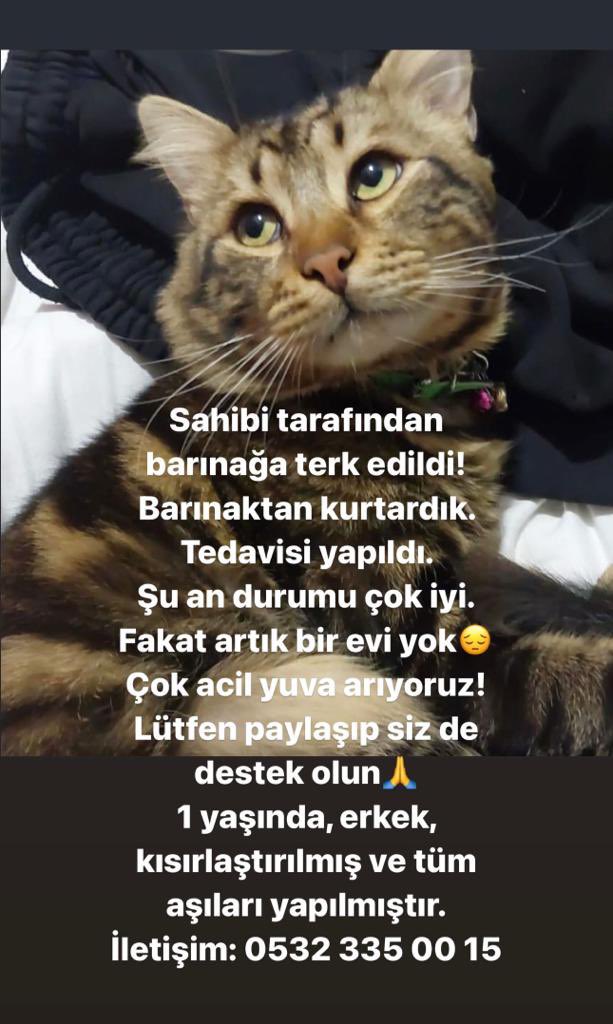 Elden ele paylaşsak süper olur 🙏🏻