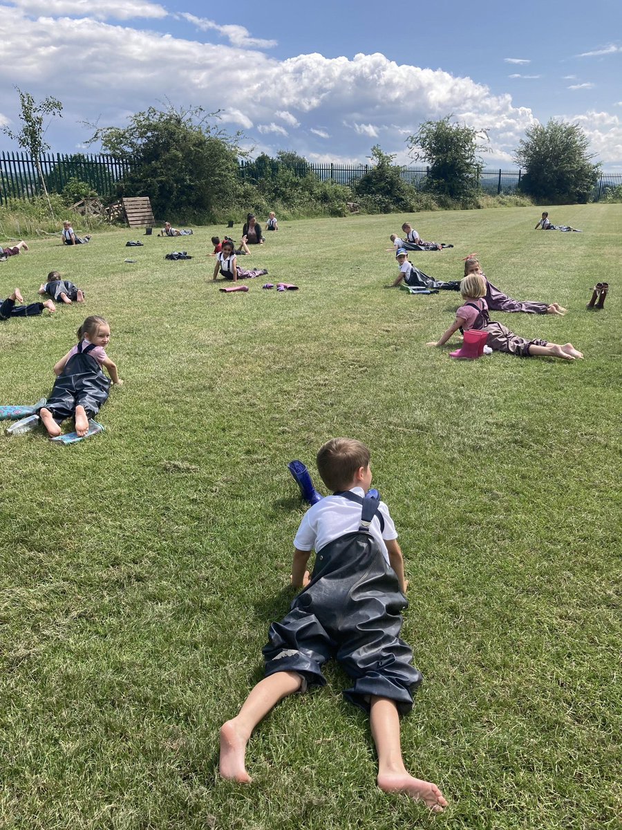 Dial Park Primary tweet media