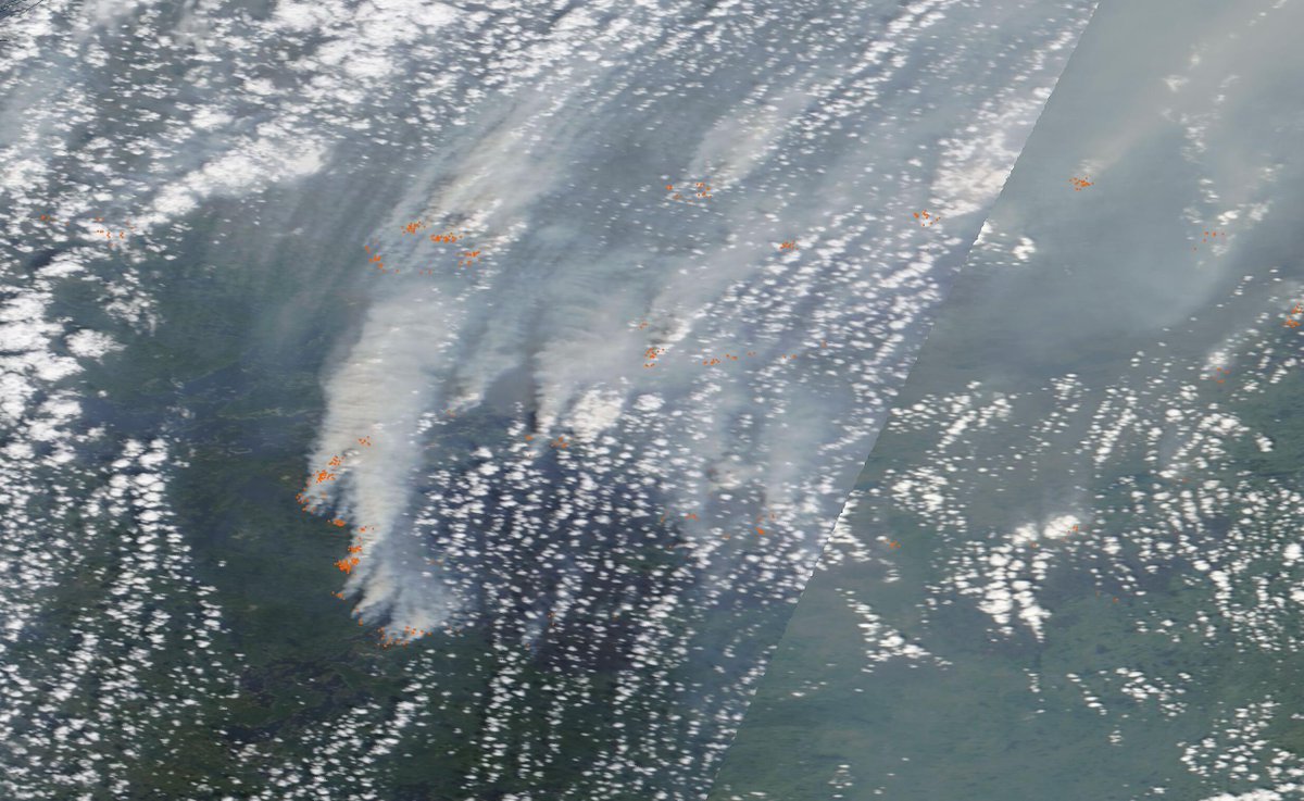 WildlandFirefig's tweet photo. #QuebecWildfires Quebec vuelve a arder con fuerza hoy. Satélite Terra: https://t.co/6DLK6XgFhj