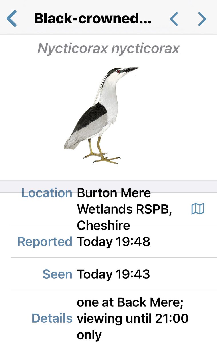 C & W BIRD NEWS (@cheshirebirding) on Twitter photo 