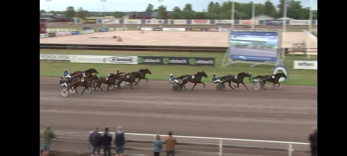 🥇 Graces Bird segrade på Mantorps V64 på tiden 1.15,6/2140a. Jakob sköter och ägarna Christer Nordin (även uppfödare), Håkan Matz, Hasse Backe &amp; Lasse Granqvist, Peter Langemar &amp; Daniel Berglund får dela på 40 000 kr 🥂 💪