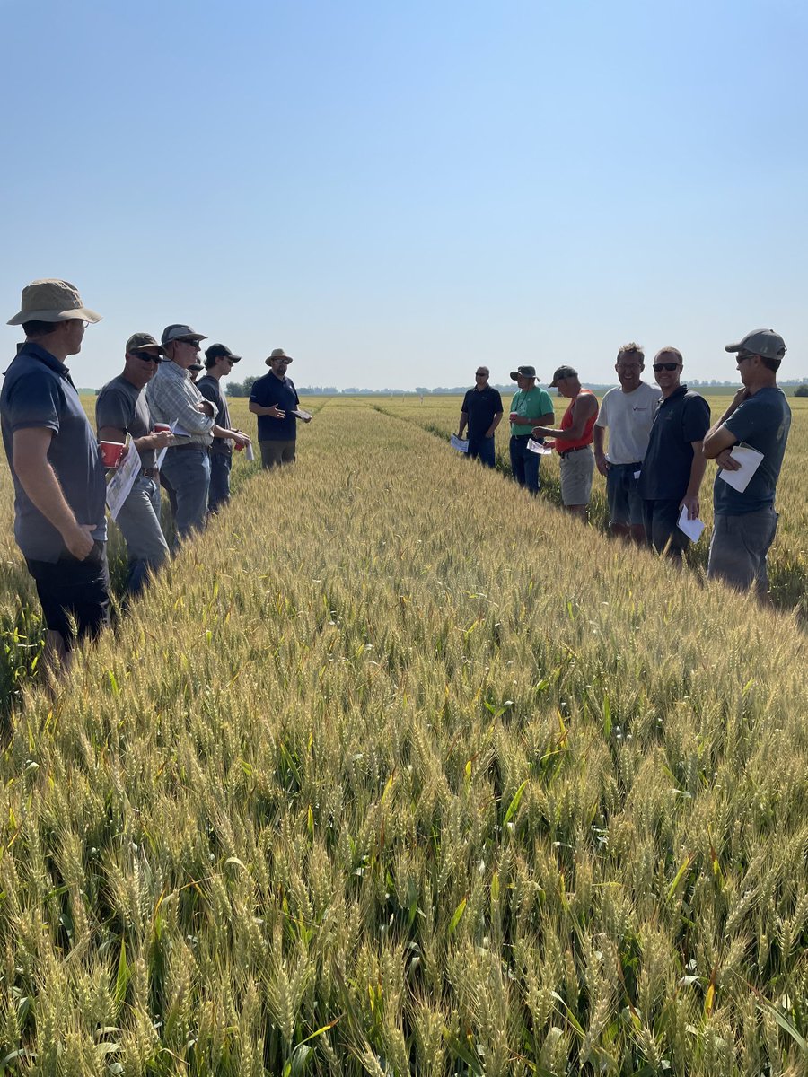 Tony Decorte (@tony_decorte) on Twitter photo Another nice warm day to discuss ā¦<a href="/PioneerSeedsCA/">Pioneer Seeds Canada</a>ā© winter wheat varieties and production with ā¦<a href="/Greg_Stopps/">Greg Stopps</a>ā© ā¦<a href="/ClaussenFarmer/">Hauke Claussen</a>ā©
ā¦.also some people just love the camera š Another nice warm day to discuss ā¦<a href="/PioneerSeedsCA/">Pioneer Seeds Canada</a>ā© winter wheat varieties and production with ā¦<a href="/Greg_Stopps/">Greg Stopps</a>ā© ā¦<a href="/ClaussenFarmer/">Hauke Claussen</a>ā©
ā¦.also some people just love the camera š