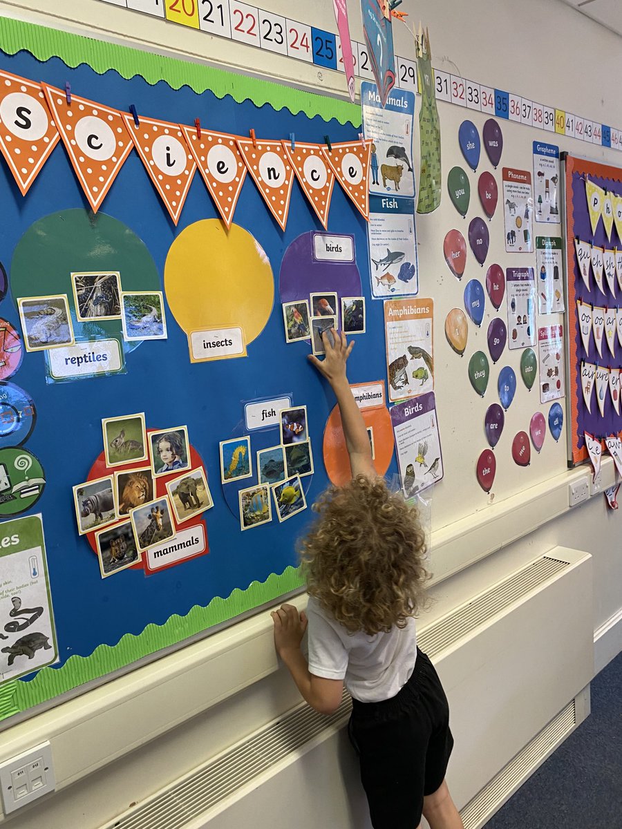 wclpsyear1's tweet photo. 1W were super scientists today. We had lots of fun with our animal classification and despite amphibians and reptiles having similar features, we managed to sort them correctly! 🐢 #wclpsscience https://t.co/xO1kGX1qK5