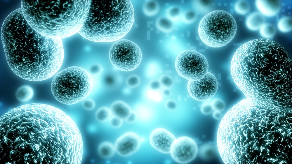 Trinity College Dublin (@tcddublin) on Twitter photo A new study from @DrG_TB <a href="/AnjaliYennemadi/">Anjali Yennemadi</a> <a href="/TBImmunologyTCD/">TB Immunology Group</a> published in the Cellular Immunology journal, is closing the research gap on the actions of an important protein of the immune system - type 1 interferon - whose actions remain poorly understood.
tcd.ie/news_events/to… A new study from @DrG_TB <a href="/AnjaliYennemadi/">Anjali Yennemadi</a> <a href="/TBImmunologyTCD/">TB Immunology Group</a> published in the Cellular Immunology journal, is closing the research gap on the actions of an important protein of the immune system - type 1 interferon - whose actions remain poorly understood.
tcd.ie/news_events/to…