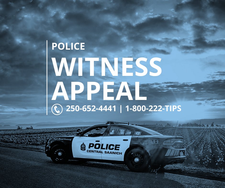 WITNESS APPEAL: CSPS are investigating graffiti to the rainbow crosswalk at the Bayside School which is believed to have occurred overnight (July 3/4). Police are asking for any witnesses, and those with dashcam footage, to contact us. File# 23-1952 ^ns #csaan