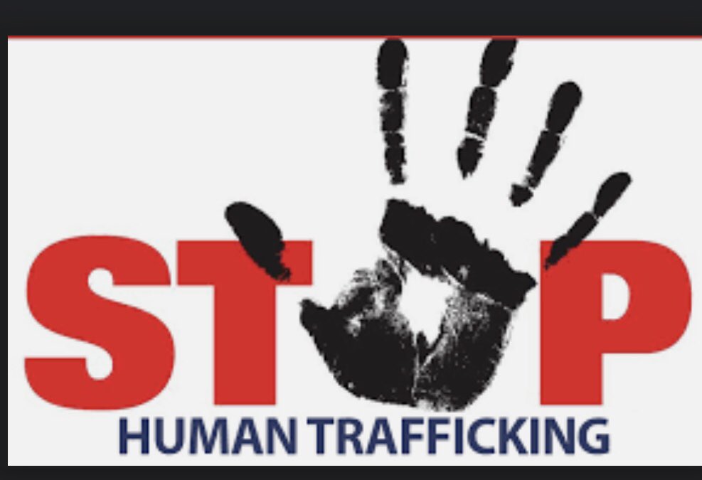NormaCMachado1's tweet photo. @GovRonDeSantis #FuckOff #DeSantisIsADangerToTheUSA #AbbottHumanTrafficker #DesantisHumanTrafficker https://t.co/LSeofzJHyK