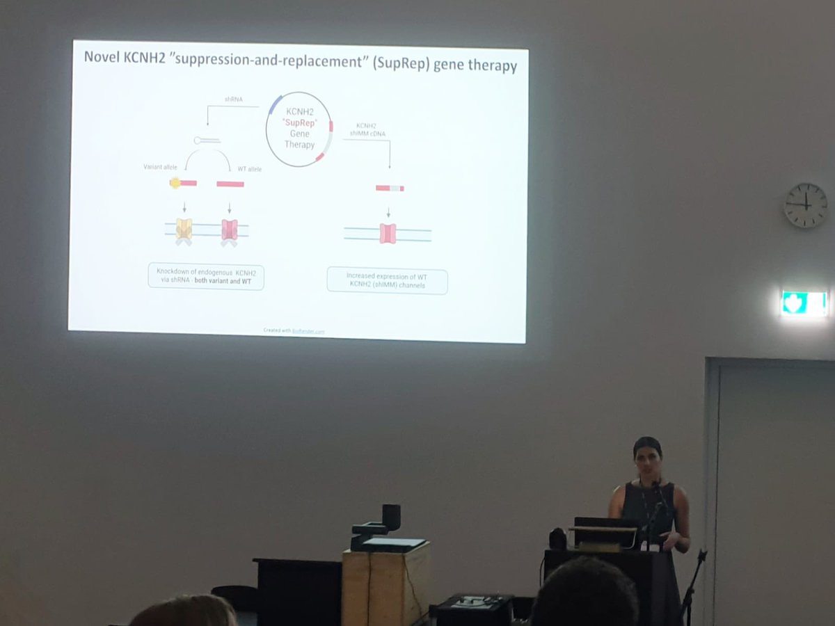 OdeningLab's tweet photo. Great contribution of our team to this year's @LS2 Cardiovascular meeting in Bern with 4 presentations by our 4 PhD students Lucilla, Saranda, Nicolò and Miriam and the best presentation award for @sarandanimani on her #SQTS #genetherapy project! https://t.co/5H6g6uE44o