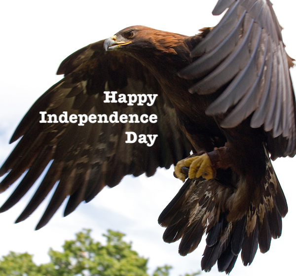 Happy #July4th from LafeberVet #IndependenceDay #IndependenceDay2023 #July4