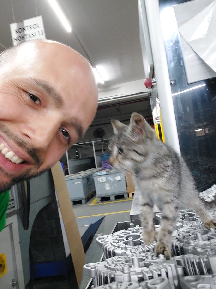 olcayask2's tweet photo. #VardiyaAmiri gibi bölümü geziyor dostumuz #Kedi #Cat #LifeOfCats #CatLife #KedilerinHayatı
Bu hayatta kedi olmak ta zor... https://t.co/eDKP29BEPS