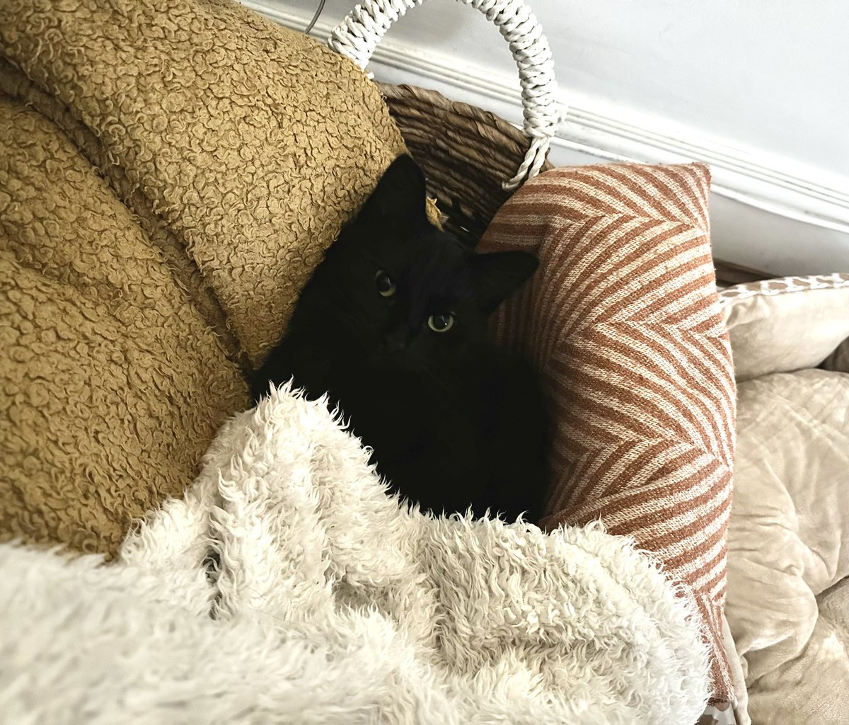 This household is happy to have cool evenings temporarily back