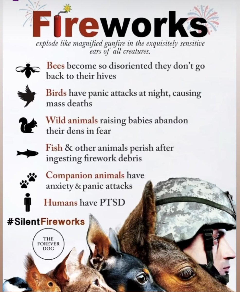 Just saying… also, they start forest fires 😬