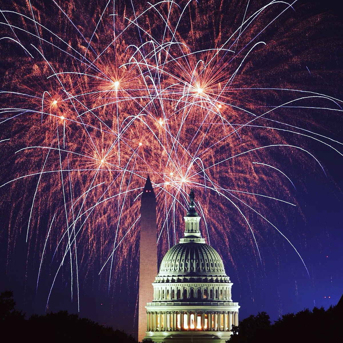 ReignofUnity tweet media