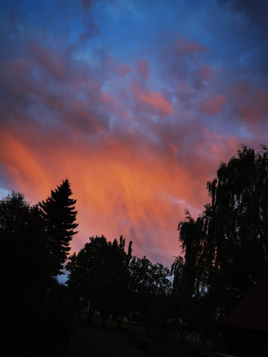 valca14's tweet image. 