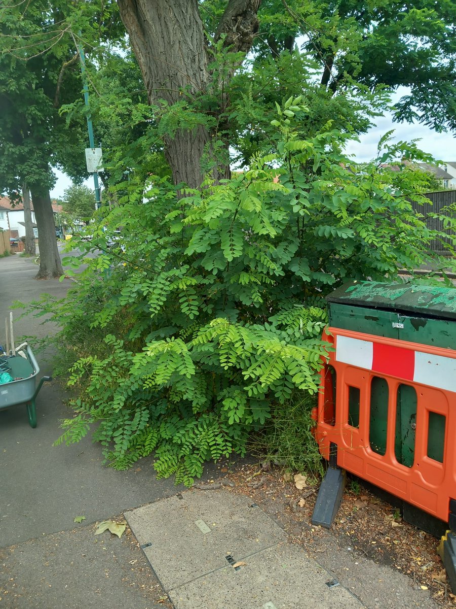 Wandle4Labour's tweet image. When @SuttonCouncil don't have a report it function to ask for work to be completed #Hackbridge residents step in to get the job done. We are building community.