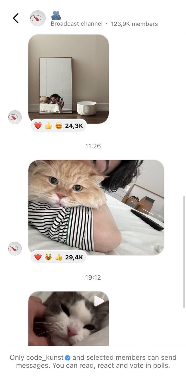 seoul_therapy's tweet image. Code Kunst instagram broadcast channel or a cat spam account ? We might never know 🤷🏻‍♀️ 

But we appreciate the cute pics 😂

#CODEKUNST #KHH #KRNB