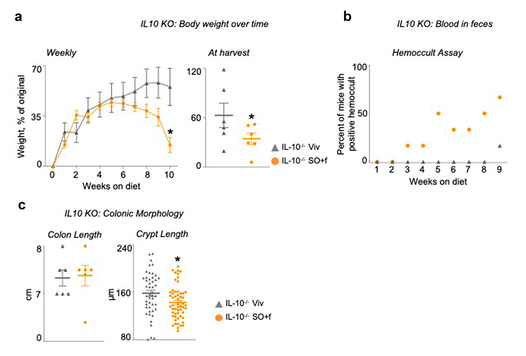 HealthyFellow's tweet photo. #Diet high in #linoleic acid dysregulates the #intestinal #endocannabinoid system &amp; ⬆️ susceptibility to #colitis 

https://t.co/u7mQNabTqM

@_atanas_ @_INPST @ScienceCommuni2 @DHPSP @TuckerGoodrich @shashiiyengar @ResilientDad @SeedOilDsrspctr @SBakerMD @LoriShemek @DrRuscioDC https://t.co/WUsncZigLn