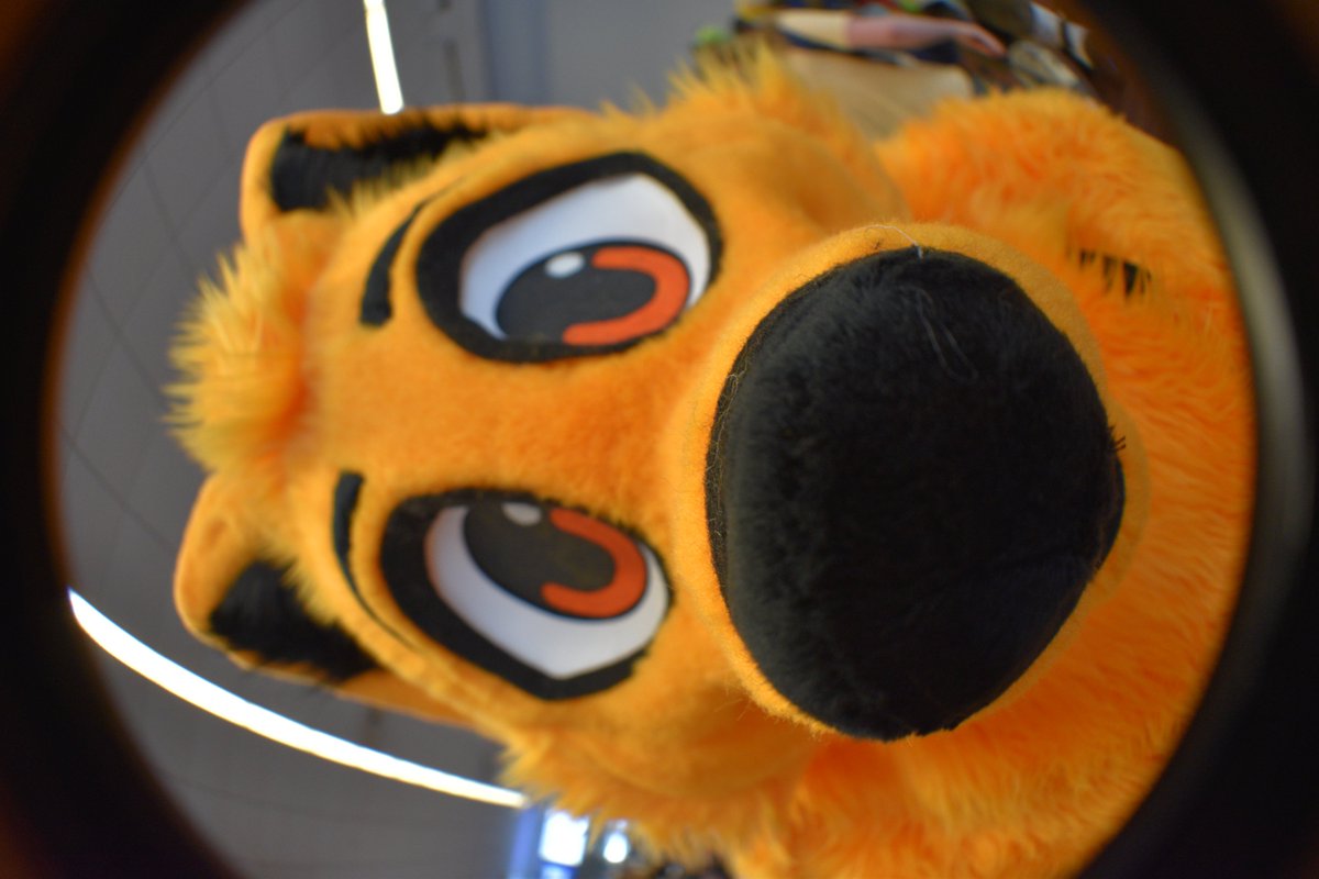 atomicfurry's tweet photo. @mangofoxy https://t.co/QL2LChBqfk