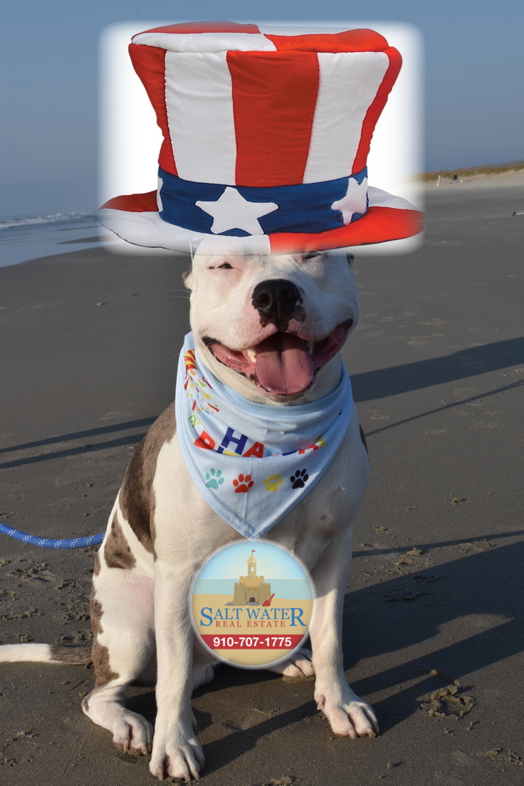 SaltEstate's tweet photo. Happy Birthday America 🇺🇸🎇! Without you, I'd have no sand 🌴between my paws, the freedom to bark 💩at dogs that act like 😼's, and grass 🌱to drag my... *squirrel!* 🦦 #carolellington #saltwaterrealestate #coastallife #enjoytheday #buyingandselling #beachproperties #investment #1agents #carolinabeach #kurebeach #wilmingtonnc #wrightsvillebeach
