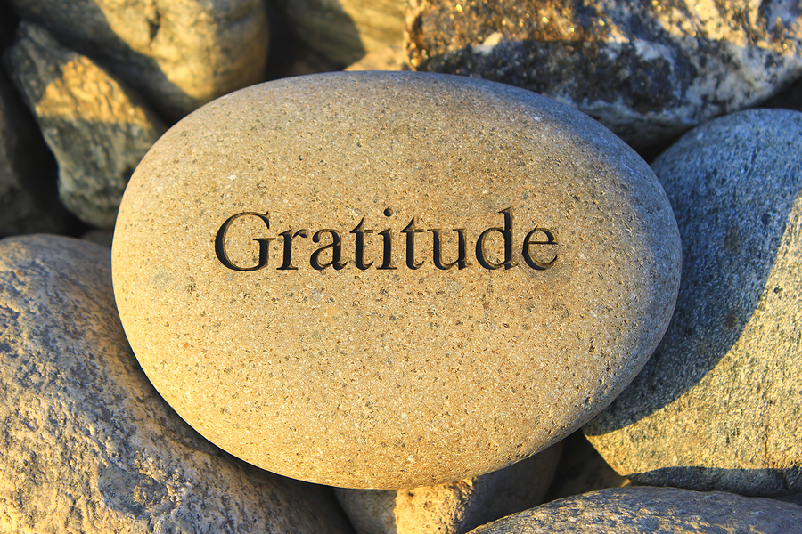 mollylarkin7's tweet photo. A Native American Thanksgiving Prayer https://t.co/hCzxXtMqI4 https://t.co/ypq4sVvxMg