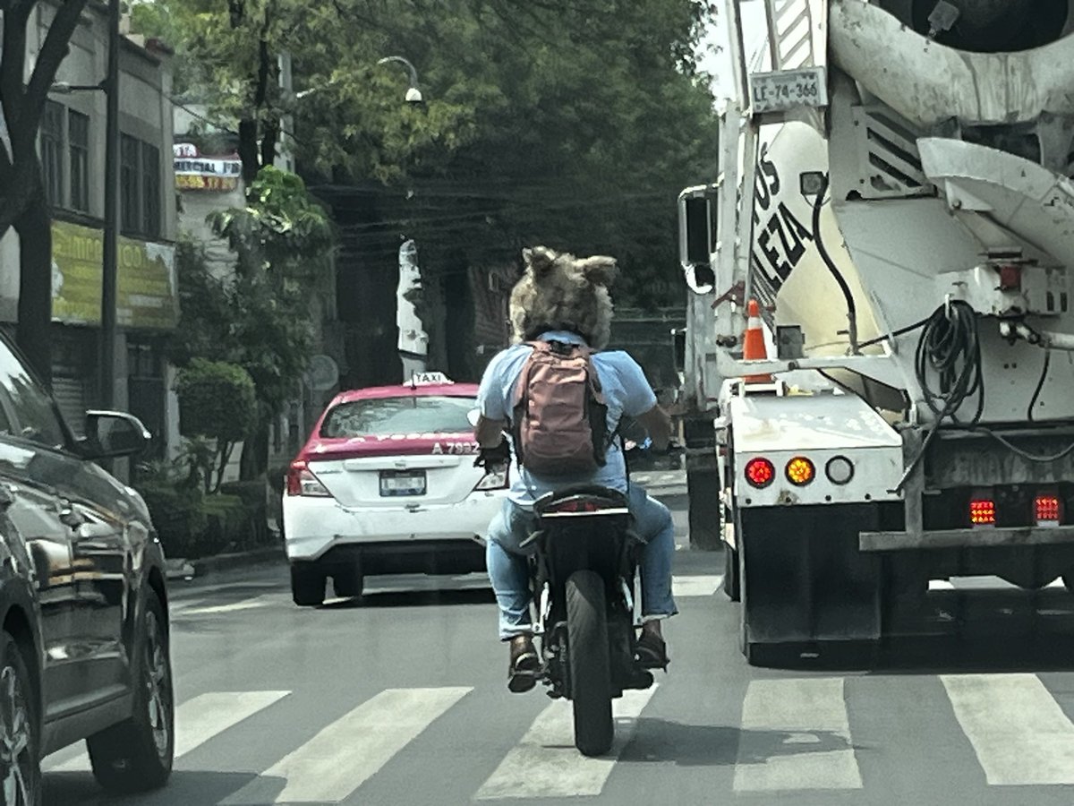 Solo en la #CiudadDeMéxico puedes encontrarte en moto al lobo escapando de Caperucita