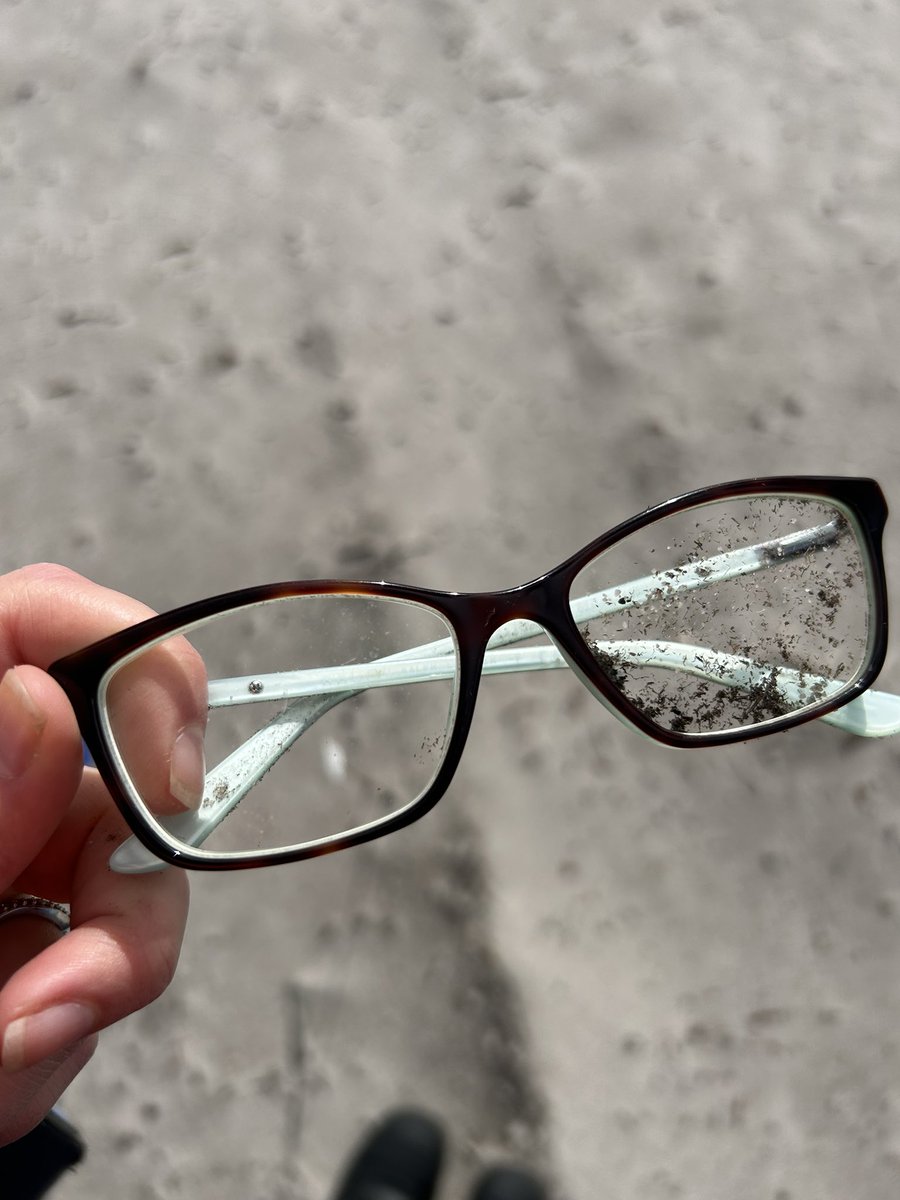 alisonlritchie's tweet image. A good find by volunteer student in the field…only 2 minutes after receiving a phone call to say my new glasses were ready for pickup 🤪🤓. Top pockets are not a good location for things during fieldwork! 🦺🤦♀️🌱