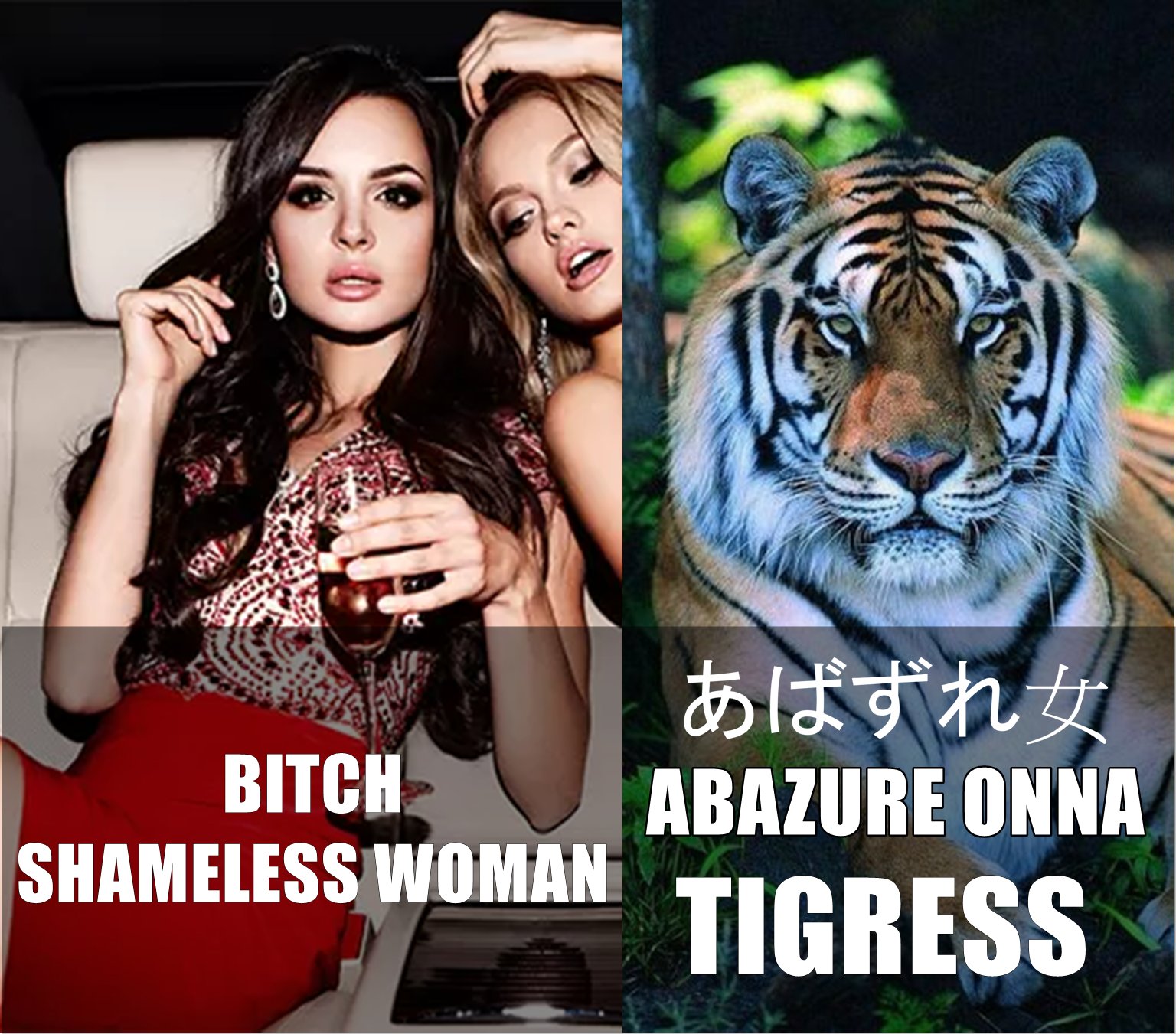 on-twitter-japanese-word-with-double-meaning