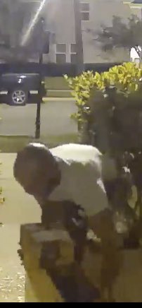 irafael1000's tweet photo. Stupid criminal, know him? Winter Park, Orl. Stealing packages, thnx Ring🙏 https://t.co/UM3SEDxUD6