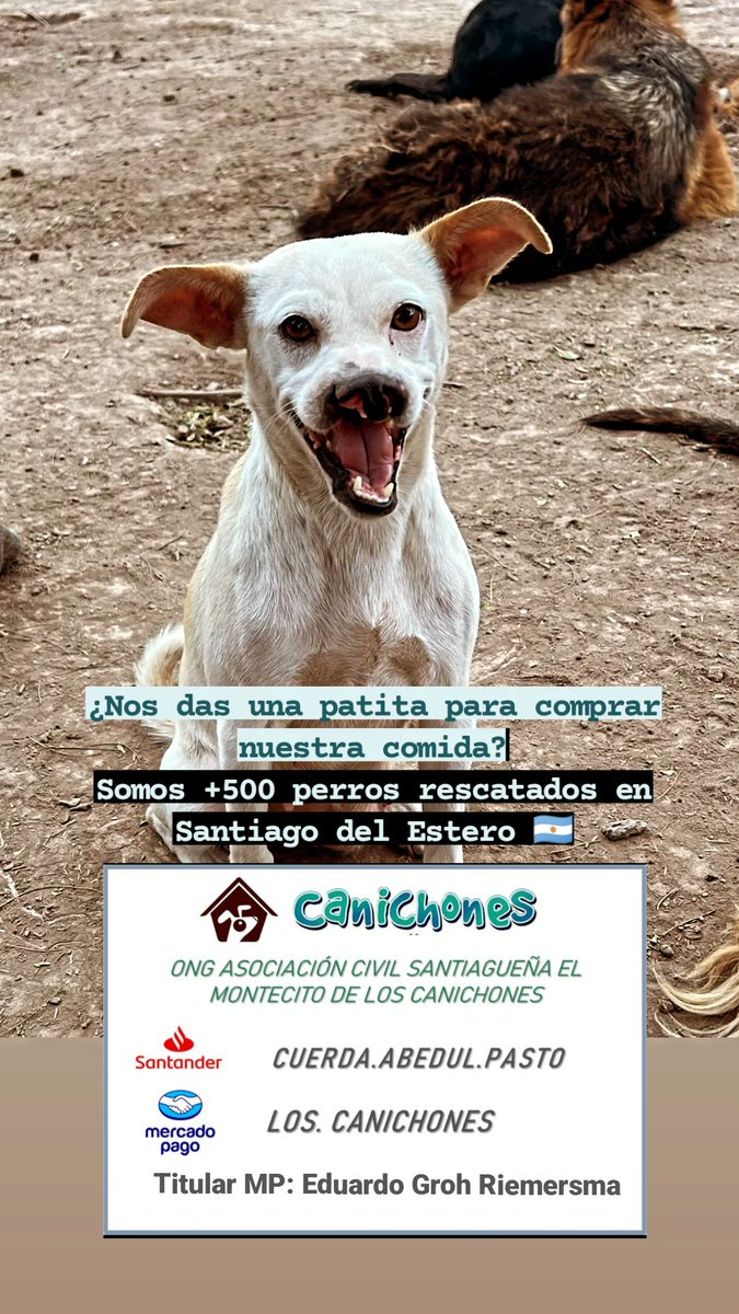 aaguvolpato's tweet photo. Esta es la carita de Ñata cuando se enteró que sólo faltan $549.000 para cubrir el costo del morfi del mes (De $.2.694.000)
Gracias a ustedes ! Que siempre están del otro lado
Llegamos? ❤️‍🩹 https://t.co/s9566k9bmn